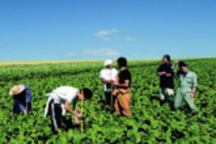 東京農業大学 研究フィールドは北海道の豊かな自然！あらゆる研究の資源が揃っています。（北方圏農学科）