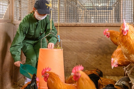 東京農業大学 動物を育み、生きる仕組みを解き明かすことで「新しい農学」を知り、人の暮らしに役立てます。（動物科学科）