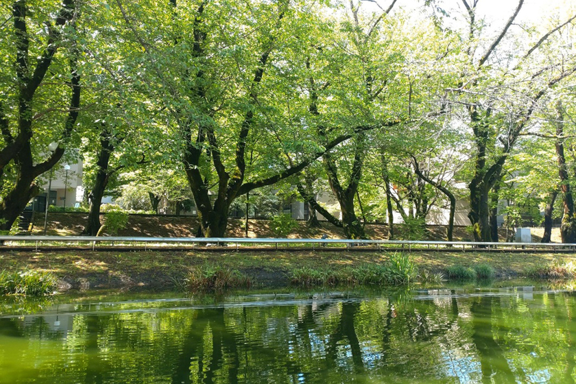 キャンパスライフPhoto