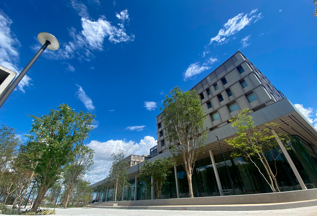 高崎 健康 福祉 大学 偏差 値