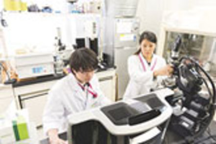 城西大学 薬科学科卒業研究の様子