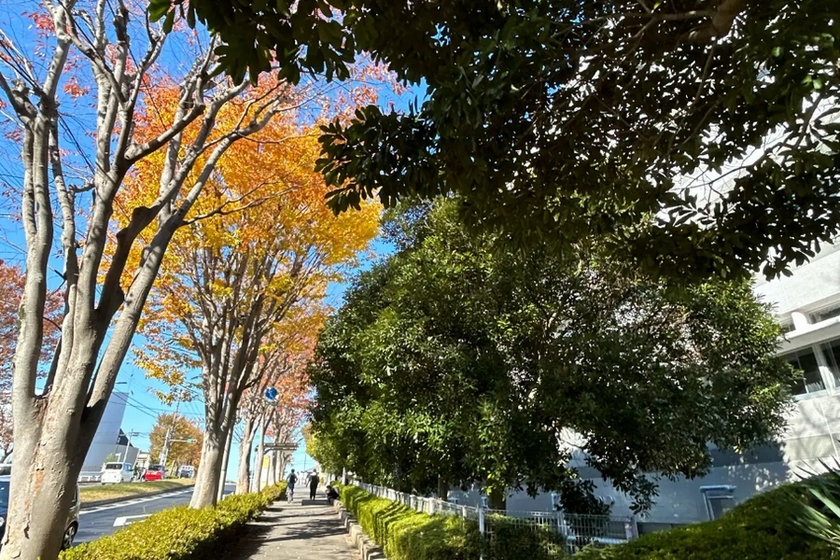 キャンパスライフPhoto