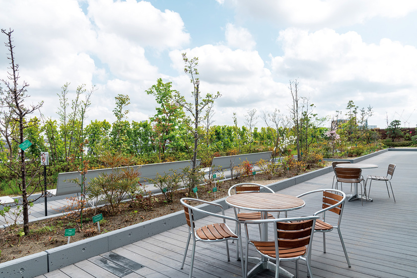 キャンパスライフPhoto