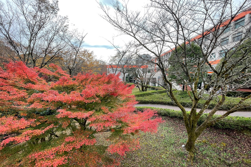 キャンパスライフPhoto