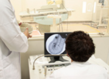 つくば国際大学の特長１