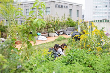 武蔵野大学 緑化されたキャンパスの屋上では、養蜂や無農薬野菜の栽培を行っており、リアルな学びによって実践的な力を身に付けます。