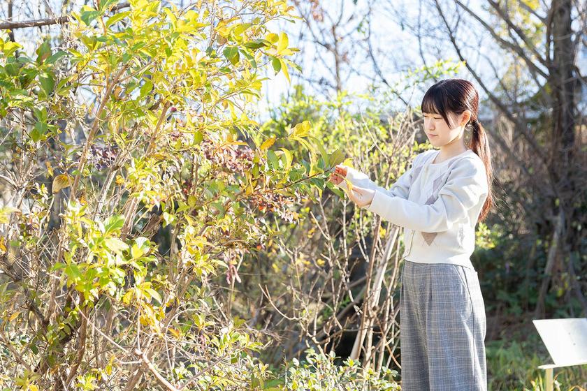 キャンパスライフPhoto