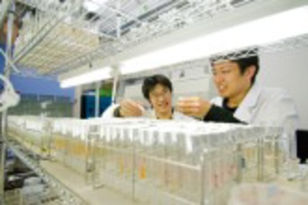 工学院大学 大学院接続型コースは、大学院修士課程までの進学を見据え、早期から研究実践力を養成