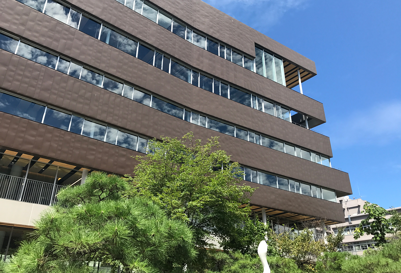 京都 国際 大学 偏差 値