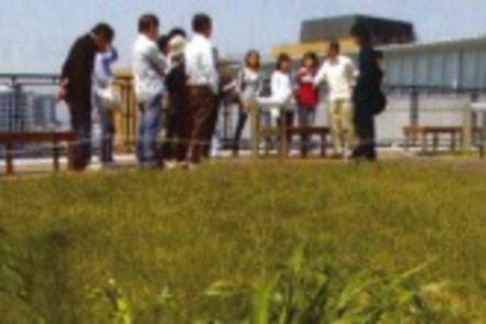 法政大学 市ケ谷キャンパスの校舎の屋上緑化。学生中心の環境活動も行われています