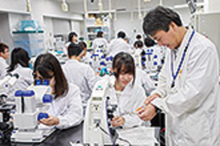 法政大学 実験・演習等の実践を通じて、専門知識を身に付けます