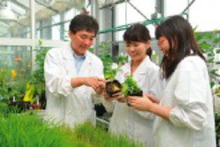 法政大学 応用植物科学科では、実習用温室で、実際に植物に触れながら「植物のお医者さん」として必要な知性と経験を養います