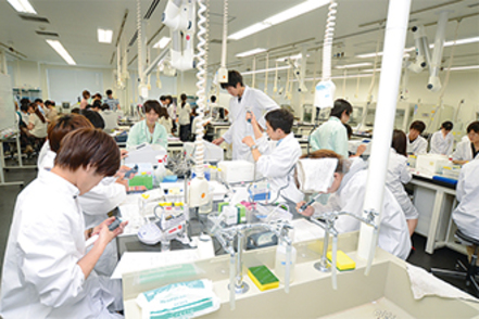 早稲田大学 先端生命医科学センター（TWIns）では、卒業研究も行っています