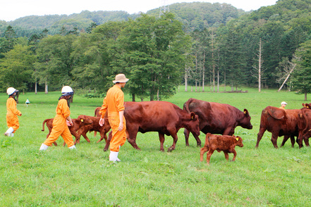 北里大学 自然や人との交流を通して豊かな人間性を育む「北海道八雲牧場実習」