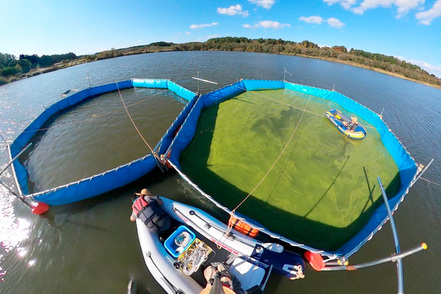 北里大学 グリーン環境創成科学科が行っている湖沼の水質改善実験