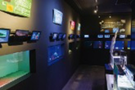 北里大学 北里アクアリウムラボ：水族館や博物館のスタッフをめざす有志学生が運営するミニ水族館