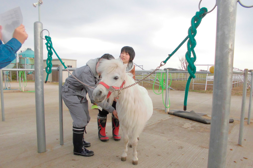 キャンパスライフPhoto