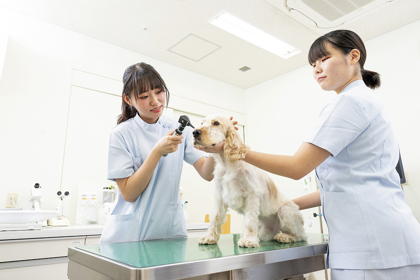 キャンパスライフPhoto