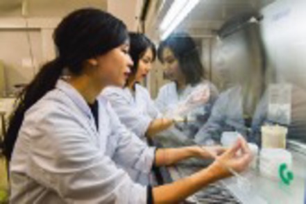 金沢工業大学 地球環境、健康・食品、医療などの分野で、環境と人に優しい機能素材を多面的に開発。