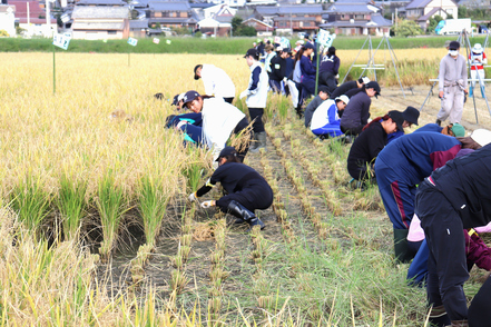 龍谷大学 4学科全ての学生が体験する農業実習。食や農に携わる喜びや感謝の気持ちを養い、「食の循環」の大切さを学ぶ