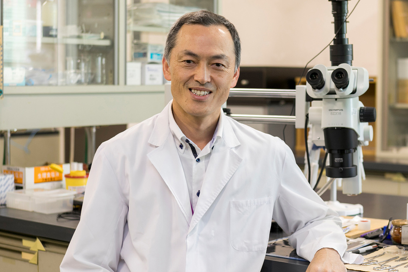 京都女子大学の先生