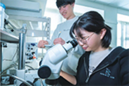 関西学院大学 【生命医科学科／エビゲノム幹細胞制御学研究室】生殖細胞の仕組みを分子レベルで解明しています