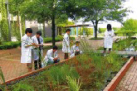 東京都市大学 都市化した人工基盤に生物多様性を再導入する仕組み「ビオトープ・パッケージ」