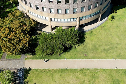 立命館大学 産学連携のプロジェクトや地域内での取りくみを通じて社会実践のプロセスに参加し、自らの進路を切り拓いていきます。