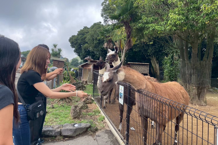 キャンパスライフPhoto