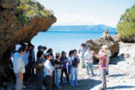 沖縄国際大学 大学内だけでなくフィールドワークも!沖縄の自然や世界遺産に触れながら学びます