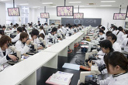 熊本保健科学大学 大勢の学生たちが互いに励まし合いながら実習に取り組む。本学ならではの活気あふれる学びの光景です。