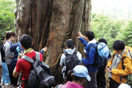 岡山理科大学 植物・動物・考古学・地球・天文・恐竜など地球の環境や歴史の全てを対象に、専門性の高い研究に取り組む