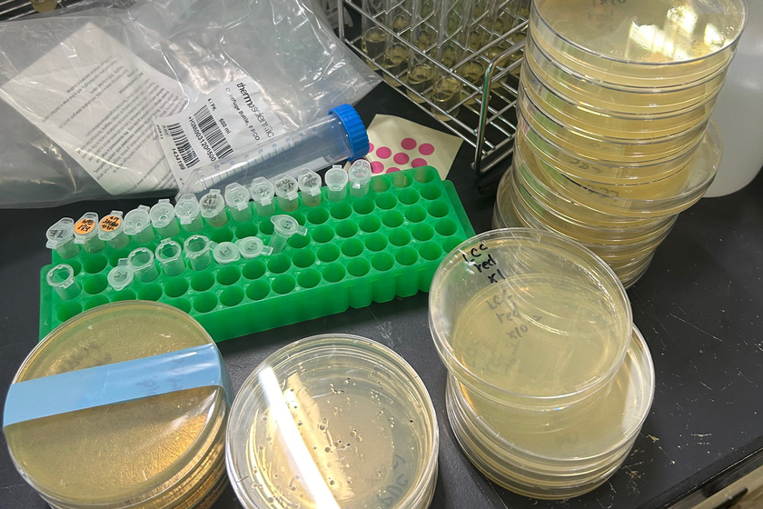 キャンパスライフPhoto