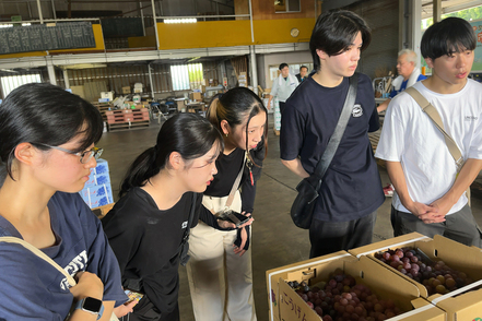 松山大学 障害者支援施設で搾汁した出荷困難なぶどう果汁を使ったゼリーを学生が考案し、期間限定販売しました