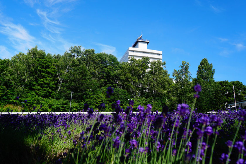 キャンパスライフPhoto