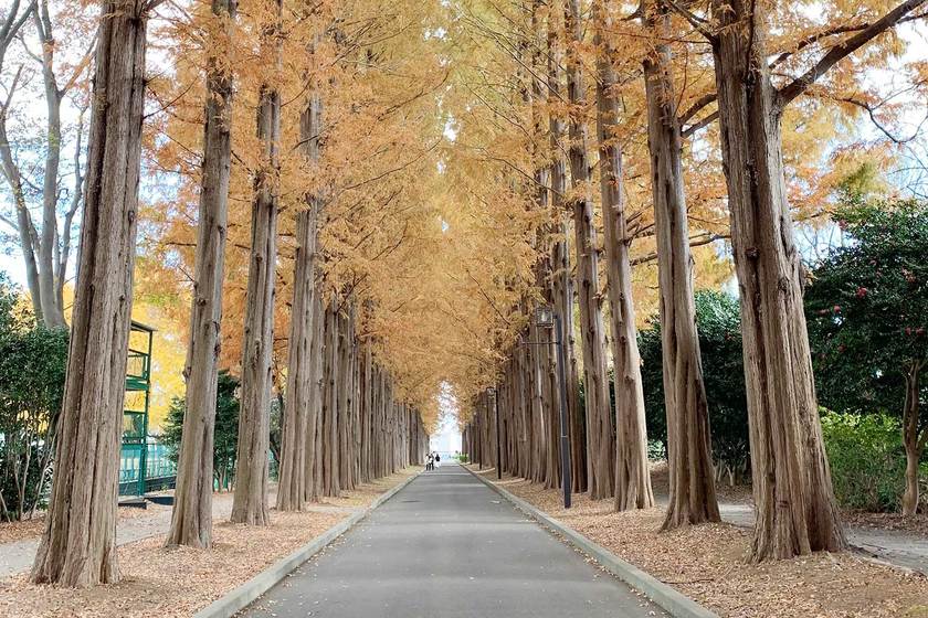 キャンパスライフPhoto