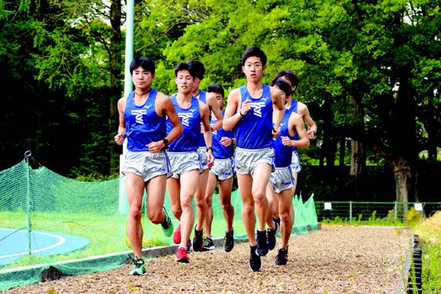 東海大学 屋内プール・陸上競技場・サッカー場・野球場・ラグビー場・フィットネスセンターなども充実。