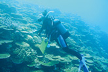 東海大学 「沖縄地域研究センター」を拠点に、その多様性に富んだ自然環境を生かした調査・研究も可能です。