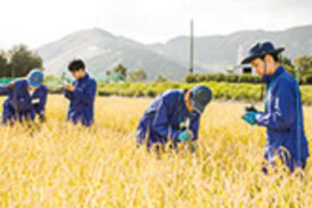 東海大学 実習では、動植物の飼育・栽培方法や調査方法を学びます。