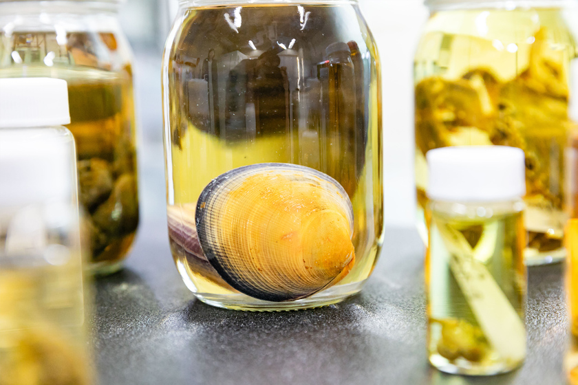 キャンパスライフPhoto