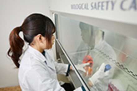 甲子園大学 「食」に関する多様な研究テーマへのチャレンジ!