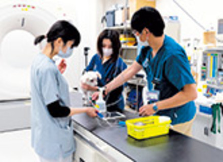 麻布大学の特長１