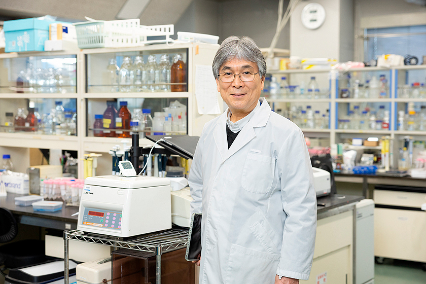 創価大学の先生