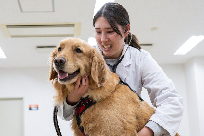 キャンパスライフPhoto