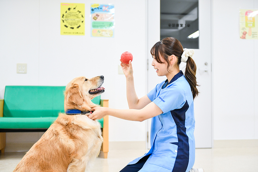 キャンパスライフPhoto