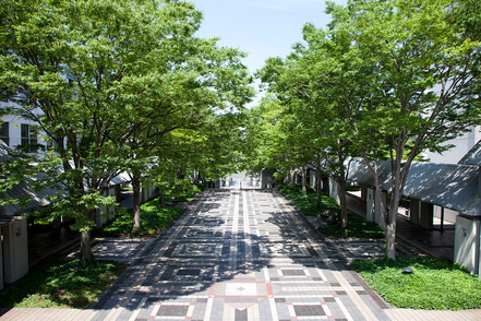 大妻女子大学 小田急多摩線・唐木田駅から徒歩約5分。緑豊かな広々とした空間で研究や学問に専念することができます。
