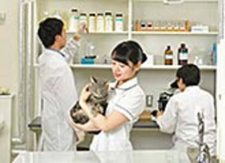 日本獣医生命科学大学の特長１