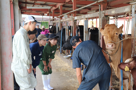 日本獣医生命科学大学 大学付属牧場の富士アニマルファーム