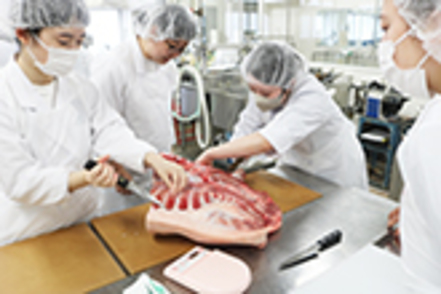 日本獣医生命科学大学 乳及び肉製品の製造を行う畜産食品製造学実習