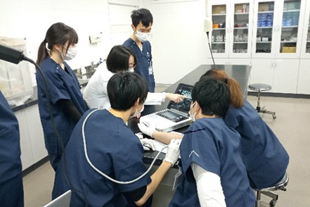 群馬パース大学 【臨床工学科】臨床工学技士の業務の一つである血液浄化室におけるVAエコー操作の実習の様子。